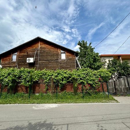 ❆Cozy, 4 Br. Villa In Ananuri❆ Экстерьер фото