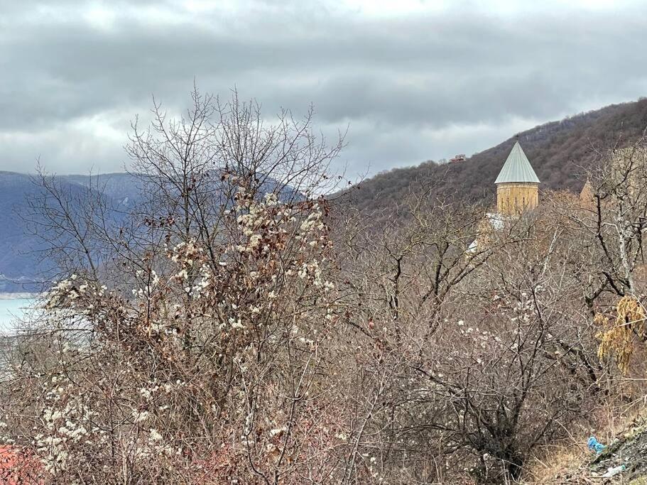 ❆Cozy, 4 Br. Villa In Ananuri❆ Экстерьер фото